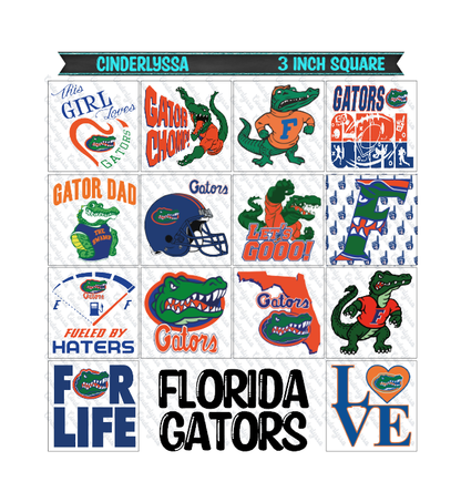 3 inch Square: Florida Gators Football Theme Cardstock/Picture With .25 inch Curved Edge Cardstock Silicone Mold, Aroma Bead Molds