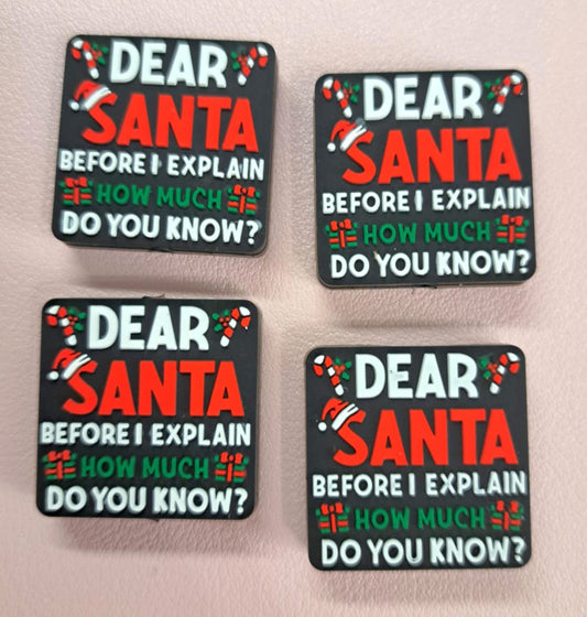 Dear Santa Before I Explain.. How Much Do You Know? Silicone Focal Bead