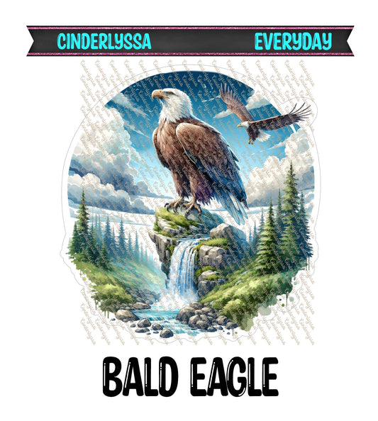 Bald Eagle Cardstock Silicone Mold, Aroma Bead Molds, Premium Cardstock Images