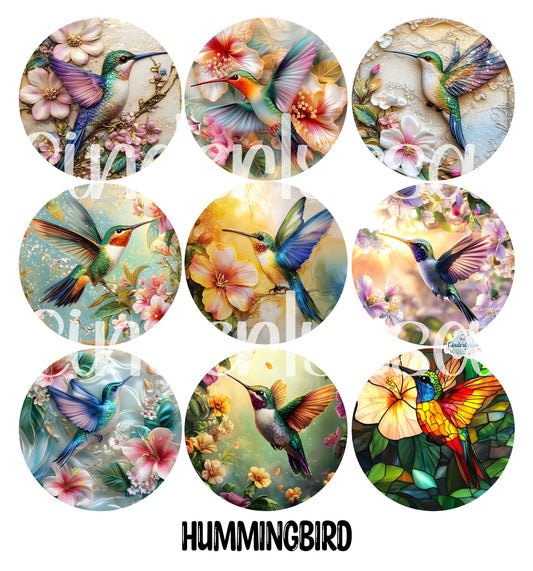 3 inch Round Hummingbird Cardstock Only for car freshies - NO MOLD for Aroma Bead Molds, Premium Cardstock Images