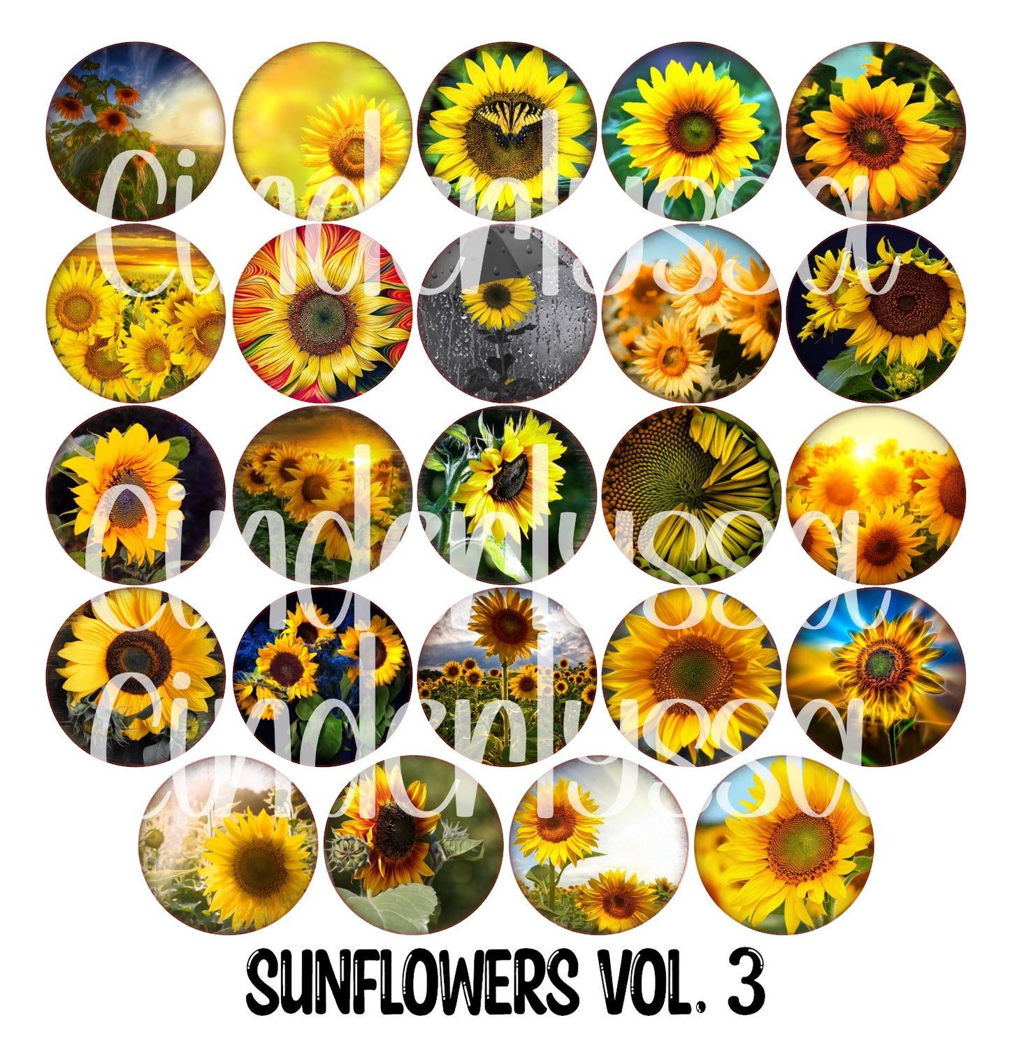 3.5 inch Round: Sunflowers Vol. 3 for Cardstock Silicone Mold, NO MOLD INCLUDED for Aroma Bead Molds, Premium Cardstock Images