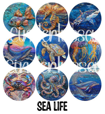 3.75 inch Round Sea Life for Cardstock Silicone Mold, for Aroma Bead Molds, Premium Cardstock Images