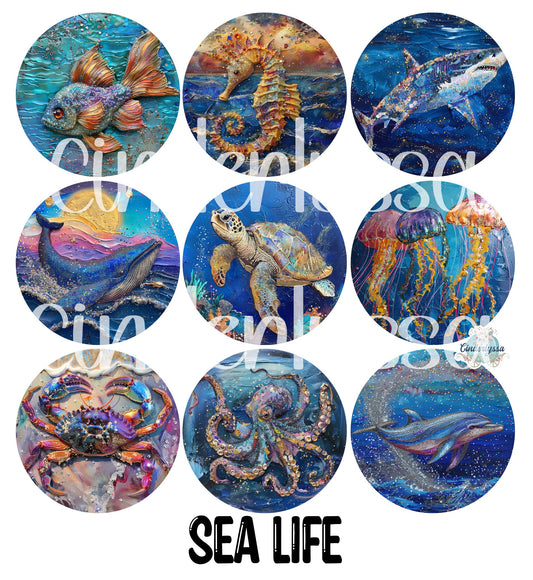 2.5 inch Round Sea Life Cardstock Only for freshies: Cardstock Silicone Mold, Premium Cardstock Images - NO MOLD