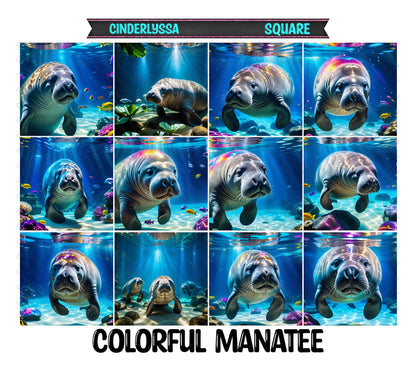 3 inch Square: Colorful Manatee Theme Cardstock/Picture With Beveled Edge Silicone Mold, Aroma Bead Molds, Car Freshener Mold
