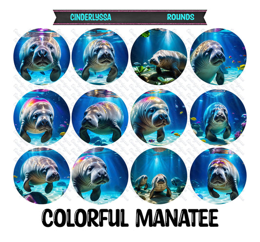 3.75 inch Round: Colorful Manatee for Silicone Mold, for Aroma Bead Molds, Car Freshener, Premium Cardstock Images