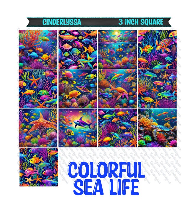 3 inch Square: Colorful Sea Life Theme Cardstock/Picture With Beveled Edge Silicone Mold, Aroma Bead Molds, Car Freshener Mold