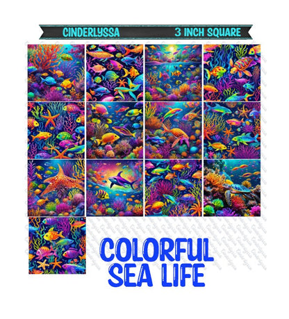 3 inch Square: Colorful Sea Life Theme Cardstock/Picture With Beveled Edge Silicone Mold, Aroma Bead Molds, Car Freshener Mold