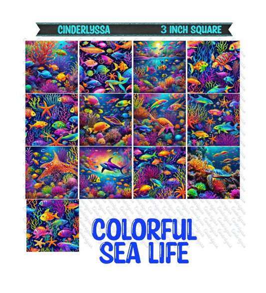 3 inch Square: Colorful Sea Life Theme Cardstock/Picture With Beveled Edge Silicone Mold, Aroma Bead Molds, Car Freshener Mold