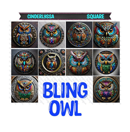 3 inch Square: Bling Owl Theme Cardstock/Picture With Beveled Edge Silicone Mold, Aroma Bead Molds, Car Freshener Mold