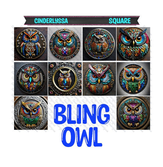 3 inch Square: Bling Owl Theme Cardstock/Picture With Beveled Edge Silicone Mold, Aroma Bead Molds, Car Freshener Mold
