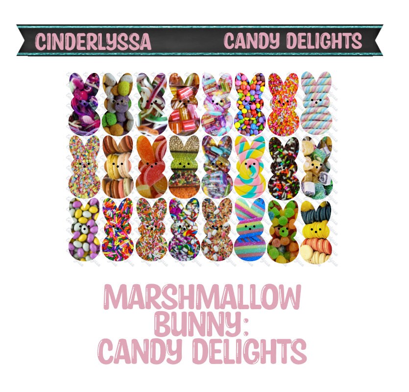 VENT CLIP Size: Marshmallow Bunny - Dual Cavity Cavity Silicone Mold, Aroma Bead Molds, Car Freshener Mold, Premium Cardstock